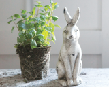 Distressed ceramic rabbit
Place this ceramic rabbit on your mantel or shelf with other decorative objects. It can be placed next to a green plant with some of the greenery in front of the rabbit. This will make it look as though the rabbit is enjoying the great outdoors.
Materials:
Ceramic
Dimensions:
3" wide x 8" high