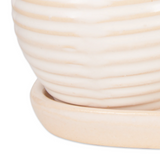 Cream ceramic small planter set
Growing herbs in your kitchen is easy and beautiful with this decorative ceramic pot set. This planter set will become a favorite piece that will last for years to come. It's the perfect gift to give to friends and family who enjoy gardening.
Materials:
Ceramic
Dimensions:
4 1/2" high x 4" deep x 13" wide