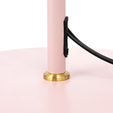 Add whimsical charm to a girl's bedroom with this lovely lamp. It is finished in pink with gold accents, has a swivel neck for convenience, and an inline switch. This is a great option for all ages.