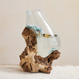Terrarium with natural wood base, JaBella Designs
