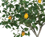 Brighten up a corner with this pretty artificial lemon tree. It features lifelike green leaves, yellow lemons, and a tall trunk accented with faux moss. Place this tree in a larger decorative planter for a stunning addition to your home.
Materials:
Silk, plastic, natural elements
Dimensions:
31 1/2" diameter x 31 1/2" high