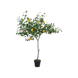 Brighten up a corner with this pretty artificial lemon tree. It features lifelike green leaves, yellow lemons, and a tall trunk accented with faux moss. Place this tree in a larger decorative planter for a stunning addition to your home.
Materials:
Silk, plastic, natural elements
Dimensions:
31 1/2" diameter x 31 1/2" high