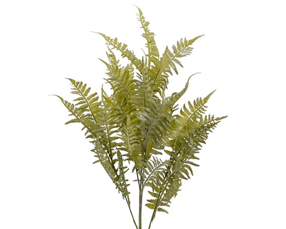 Extra long classic artificial green fern spray 

Add classic style to an artificial floral arrangement with these gorgeous fern sprays. Each one features a fern design and is long enough to use in large centerpieces.

These sprays are sold individually, in pairs, lots of four, lots of eight, lots of 12, and lots of 20. 

Materials:
Faux silk, plastic, wire

Dimensions:
8