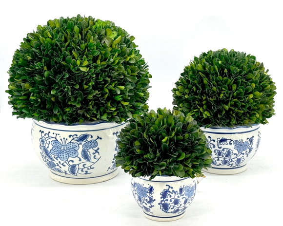 Perserved boxwood topiary, Blue ceramic planter, Southern Charm collection, JaBella Designs