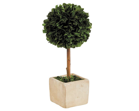 Decorative green boxwood topiary

These beautiful preserved boxwood plants adorn your space without the daily commitment! Their modern design makes them great for tabletop decor or as accent pieces at home or in the office.

Materials:
Boxwood leaves, terracotta, polyester

Dimensions:
4