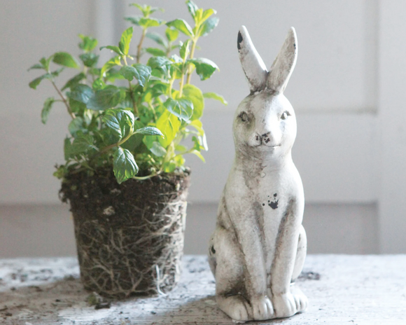 Distressed ceramic rabbit

Place this ceramic rabbit on your mantel or shelf with other decorative objects. It can be placed next to a green plant with some of the greenery in front of the rabbit. This will make it look as though the rabbit is enjoying the great outdoors.

Materials:
Ceramic

Dimensions:
3