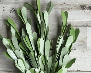 This artificial spray features soft green leaves on a flexible stem and branches. The bush comprises four picks that have been bundled together, and it is easily fluffed for a full and vibrant look. This bush is the perfect addition to a faux greenery arrangement or grapevine wreath.  Materials: Artificial leaves  Dimensions: 5" wide x 14" long