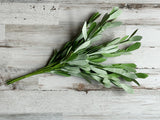 Artificial light green willow leaves bush