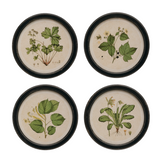 Botanical pictures, Set of four botanical prints, JaBella Designs, Cottagecore