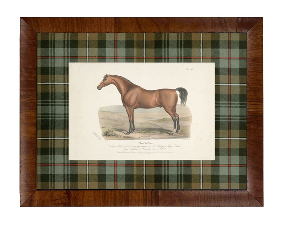 This vintage horse bookplate is matted in green and brown tartan under glass in a wooden frame. It is perfect for a man cave or Scottish-inspired study. 

Materials:
Wood, glass, cardboard

Dimensions:
18