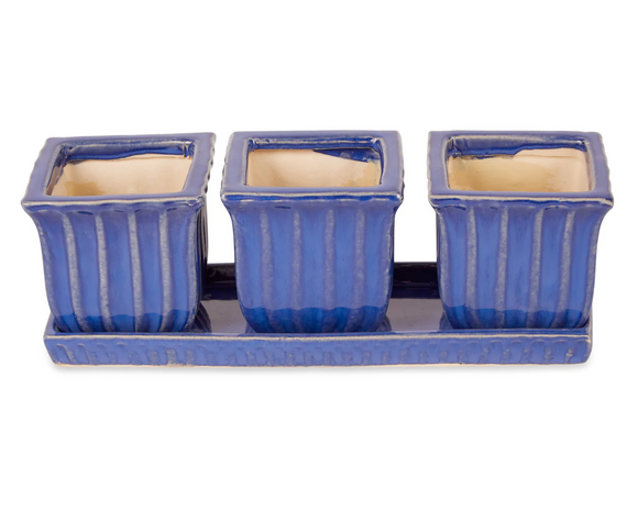Set of three planters on coordinating saucer

Growing herbs in your kitchen is easy and beautiful with this decorative ceramic pot set. This piece will become a favorite that will last for years to come. Each pot features a drain hole for proper plant care. This planter set is a perfect gift to give to an avid gardener or a newlywed couple. 

Materials:
Ceramic

Dimensions:
4