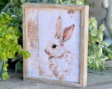 Framed artwork of a rabbit on a wooden surface with greenery in the background