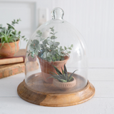 Glass cloche with brown wood base, Rustic farmhouse style, JaBella Designs