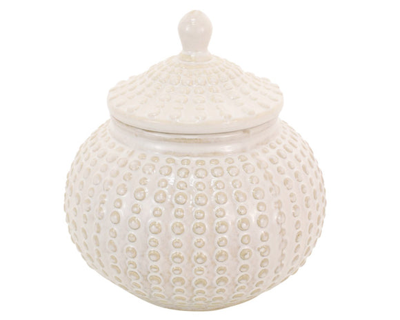 Cream dotted cookie jar

Who stole the cookie from the cookie jar? You won't be able to blame anyone for sneaking a peek in this beautiful textured piece! It's both aesthetically pleasing and practical! This dotted design adds a unique flair and a charming kick of personality. Add almost 4 pounds, this cookie jar is not only beautiful but quite sturdy.

Materials:
Ceramic

Dimensions:
7 3/4