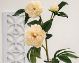 Three artificial peony flowers with green leaves against a light gray wall.