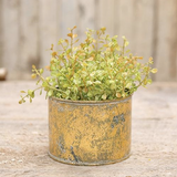 Small potted plant in a rustic metal container on a wooden surface