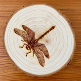Add cottagecore charm to a living room or bedroom with these coasters. They’re made from live edge California pine wood slices that are laser engraved with a dragonfly illustration on one side. They are unfinished and smell quite nice.&nbsp;

This item is proudly made in the USA.

These coasters are sold in sets of four.