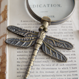 Bronze dragonfly pendant on a book page