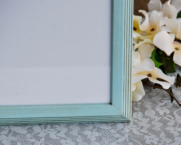 Wood robin's egg blue specialty size frames