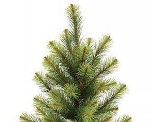 Empire pine tree with burlap base

This decorative faux pine tree features lush branches of green pine needles. The base of the tree is wrapped with a cut of rustic burlap fabric for a simple, natural texture. This tree makes a beautiful addition to a front porch or hearth area, bringing a woodland touch to the home for winter and Christmas. Display it alone or adorn with light strands, garland, and ornaments for a festive accent.

Materials:
Plastic, foam, burlap

Dimensions:
30" tall&nbsp;