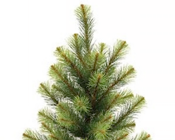 Empire pine tree with burlap base

This decorative faux pine tree features lush branches of green pine needles. The base of the tree is wrapped with a cut of rustic burlap fabric for a simple, natural texture. This tree makes a beautiful addition to a front porch or hearth area, bringing a woodland touch to the home for winter and Christmas. Display it alone or adorn with light strands, garland, and ornaments for a festive accent.

Materials:
Plastic, foam, burlap

Dimensions:
30