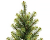 Empire pine tree with burlap base

This decorative faux pine tree features lush branches of green pine needles. The base of the tree is wrapped with a cut of rustic burlap fabric for a simple, natural texture. This tree makes a beautiful addition to a front porch or hearth area, bringing a woodland touch to the home for winter and Christmas. Display it alone or adorn with light strands, garland, and ornaments for a festive accent.

Materials:
Plastic, foam, burlap

Dimensions:
30" tall&nbsp;