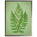 Framed artwork of a green fern leaf design on a green background