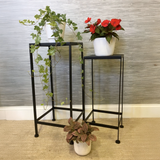 Three potted plants on metal stands against a textured wall.