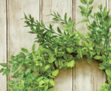 Artificial lemon verbena decorative candle ring 