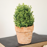 Miniature artificial boxwood in pot

Bring simple but elegant little notes of greenery to a variety of displays with this potted miniature boxwood This cute potted floral has small plastic boxwood sprigs and leaves making up a small bush. It emerges from a textured terracotta-colored cement pot. This artificial arrangement makes a darling accessory on tiered trays or risers!

Materials:
Plastic, cement

Dimensions:
3" diameter x 6 1/2" high
