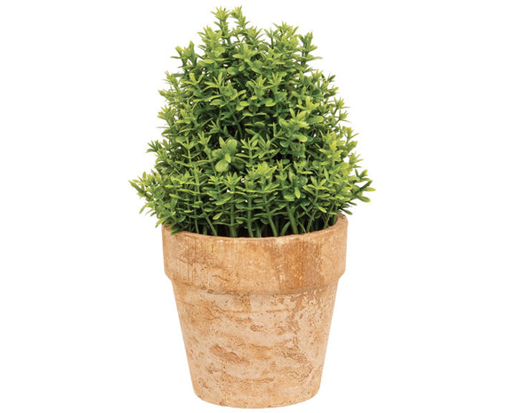Miniature artificial boxwood in pot

Bring simple but elegant little notes of greenery to a variety of displays with this potted miniature boxwood This cute potted floral has small plastic boxwood sprigs and leaves making up a small bush. It emerges from a textured terracotta-colored cement pot. This artificial arrangement makes a darling accessory on tiered trays or risers!

Materials:
Plastic, cement

Dimensions:
3