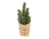 This miniature tree makes a sweet and simple addition sitting on a riser or tray, or dotted along a shelf or mantle during the holidays. Sold individually, each artificial tree is wrapped in thick brown paper, tied with jute string, and features a dark green coloring.

Materials:
Wire, plastic, paper. jute

Dimensions:
2 3/4" wide x 2 1/2" deep x 7 1/2" high