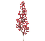 Red berry branch on a white background