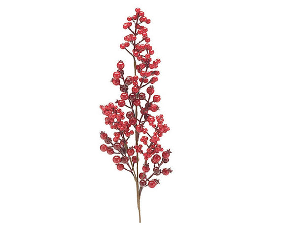 Red berry branch on a white background