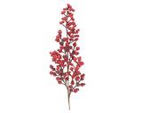 Red berry branch on a white background