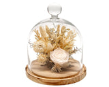 A dried floral arrangement under a clear glass cloche dome with a round wooden base, featuring a large cream rose and pale beige botanicals on a white background.