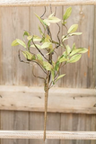 Artificial plant with green leaves on a wooden surface