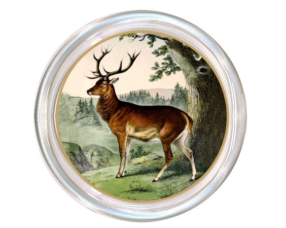 Decorative glass coaster with a stag deer in a natural landscape