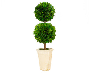 Preserved boxwood topiary in clay pot

Discover the allure of real boxwood with our preserved boxwood topiary. This double ball topiary, housed in a clay pot, exudes an elegance that only genuine boxwood can offer. Its lush green hue and natural texture bring a touch of nature's beauty into your home or office. 