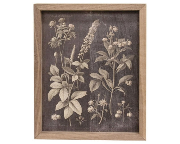 This print is a decorative box sign made with a vintage-inspired design. The sign depicts a variety of florals in a gray-green hue on a black background. The layout is inspired by a vintage field guide, and the sign is finished with light distressing. The sign's frame features a natural wood look, and is freestanding for stable display on a flat surface.  This item is proudly made in the USA.  Materials: Wood  Dimensions: 8 3/4