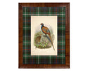 Framed print of pheasants on a plaid background