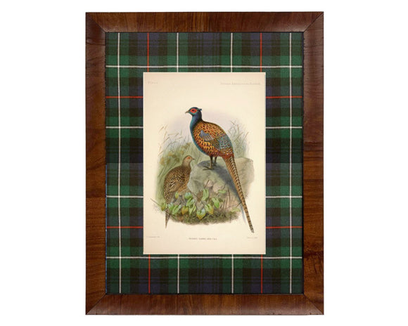 Framed print of pheasants on a plaid background