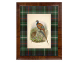Framed print of pheasants on a plaid background