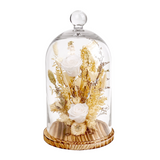 Glass cloche with preserved flowers on a white background