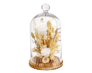 Glass cloche with preserved flowers on a white background
