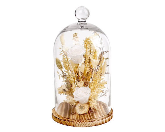 Glass cloche with preserved flowers on a white background