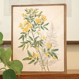 This adorable print brings a colorful nature-inspired accent to springtime or everyday decor. The sign depicts bright, realistic yellow and green botanicals in a vintage scientific-inspired style on a cream-colored background. Shadowy depictions of plants adorn the background for a dimensional look. Neutral wood edges frame the sign, and an open back allows for freestanding or hanging display.

Materials:
Wood, canvas

Dimensions:
9 3/4" wide x 1 3/4" deep x 12 1/4" high